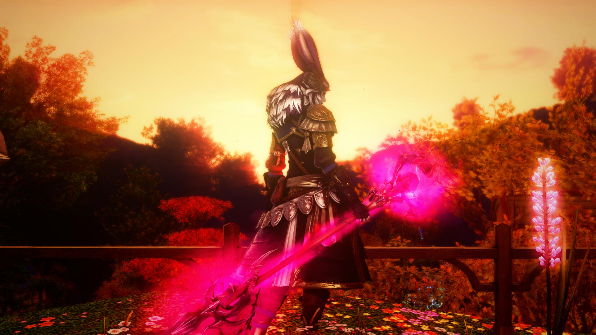 Isabella in the Sunset